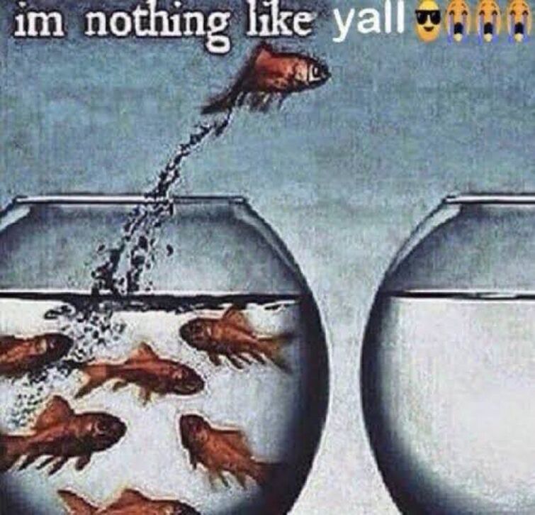 am i nothing like yall 😎😭😭😭 Fandom