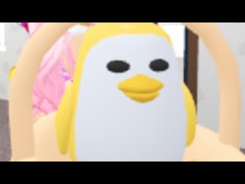 Tell Me What You Would Trade For A Golden Riding Flying Penguin Fandom - how to get a free legendary golden penguin in adopt me roblox