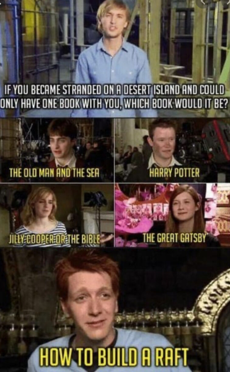 Harry Potter memes 1 Project by Busy Echo