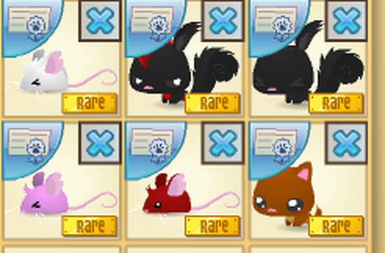 Trading Squirrels That Were Supposed To Be Nft 3 Fandom