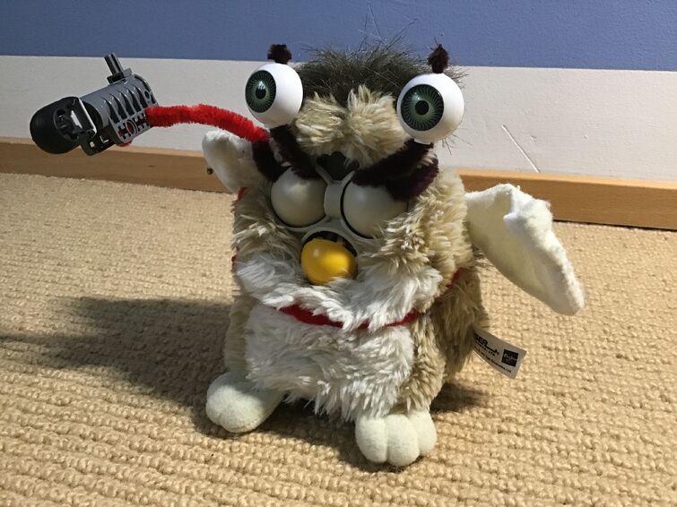 Fandom Image