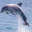 Seashore2345's avatar