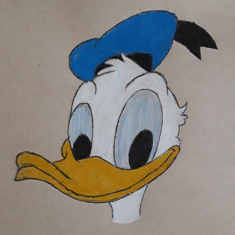 Donald Duck Art | Fandom