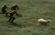 the platoon chasing the ram