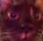 Goofiegoober's avatar