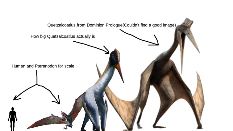 Quetzalcoatlus Size Comparison 