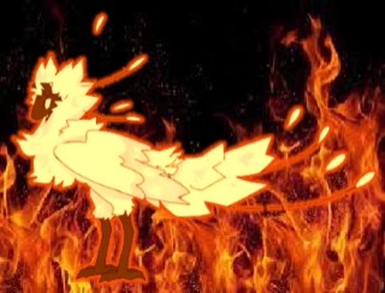 Okay Sing This is what I'm talking about Free Chicken nuggets Ohh Fandom