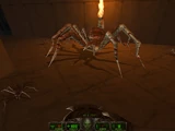 1.3 Patch