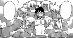 The Satyresses approach Kimihito during bath.