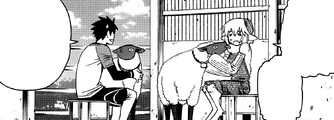 Megumi1.png (158 KB) sheeps bred for milking.