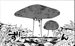 Mushroom1