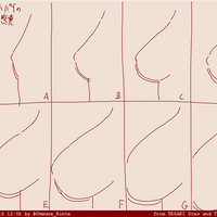 Bwh Measurements Daily Life With A Monster Girl Wiki Fandom Use both over bust measurement and determined band size (determined above) to find your cup size. daily life with a monster girl wiki