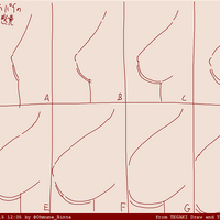 Featured image of post Anime Bust Size Chart Measure around the fullest the bigger the man the bigger the legend or so they say