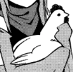 A female chicken (hen).
