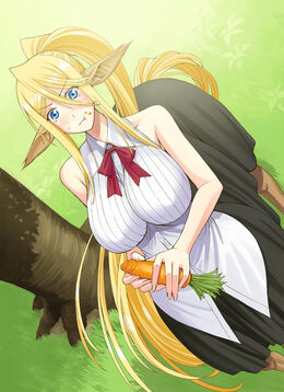 Monster Musume: Everyday Life with Monster Girls Online, Daily Life With A  Monster Girl Wiki