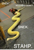 Snek3.jpg (124 KB)