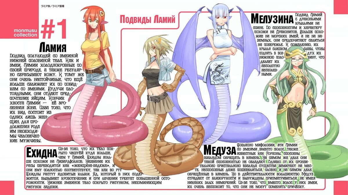 Ламии | Daily Life With A Monster Girl Wiki | Fandom