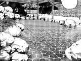 Sno Ball Hot Spring Resort