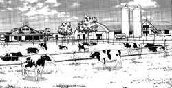 Farm8