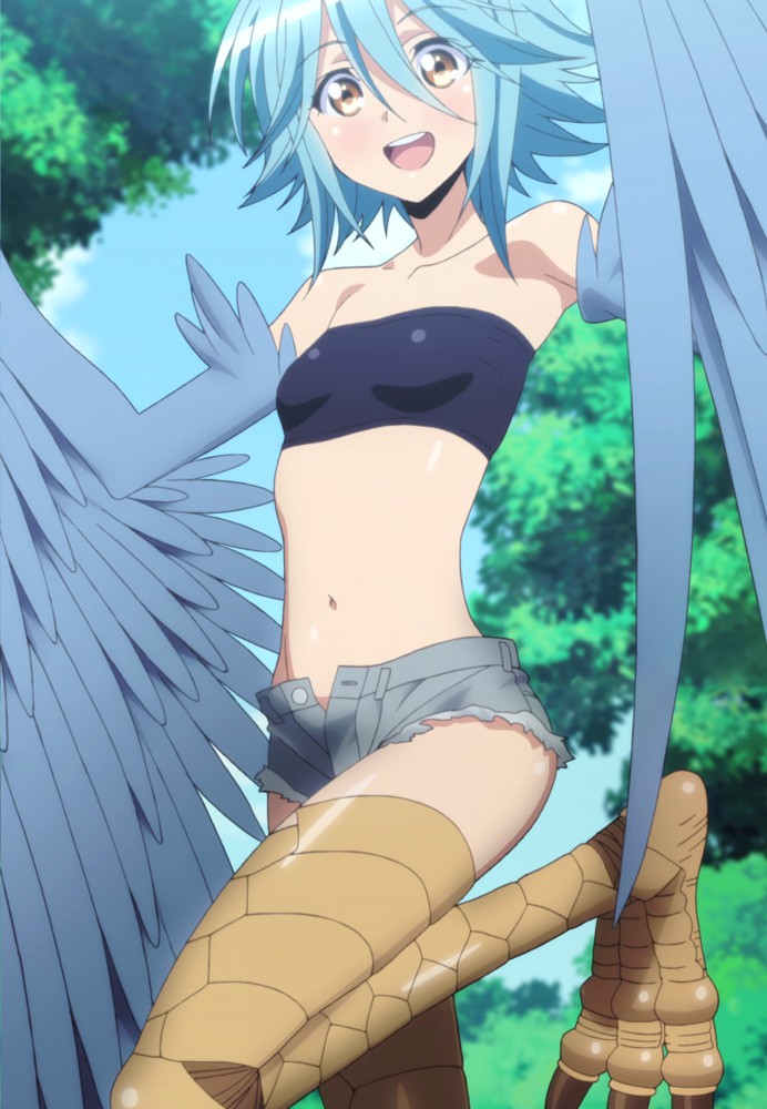 A Monster Musume Light Novel!  Monster Musume Monster Girls On The Job  Review 