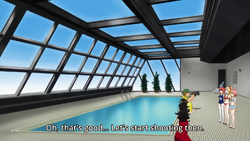 Jav Pool