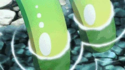 Suu "Child" Form-"Adult" Form