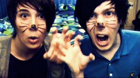 cat whiskers dan and phil