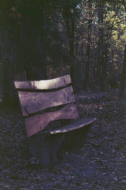 Witch-Bench