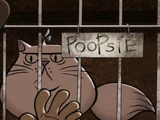 Poopsie