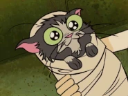 Tumblr mclv1bYBFc1rxqodwo1 400-1-.gif (119 KB)