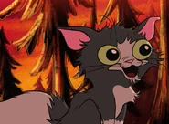 Danv-image-dan-mr-mumbles2 570x420.jpg (211 KB)