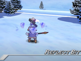 Reflect Bit