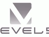 Level 5