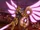 Hikaru Hoshihara/LBXs