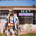 Fancy Iggy Azalea ft. Char...