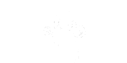 Celebrate Low Dance Central Wiki Fandom