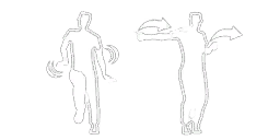 Ditz / Polish | Dance Central Wiki | Fandom