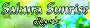 DDR S+ banner.
