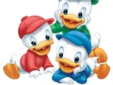 Huey, Dewey, & Louie