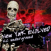 New York EVOLVED (PS3)