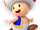 Toad