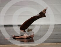 Poisonapple.jpeg (325 KB) Poison Apple (Not Aired)