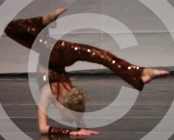 Poison Apple Comp Pic21.jpg (14 KB)