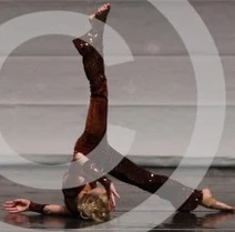 Poison Apple Comp Pic17.jpg (13 KB)