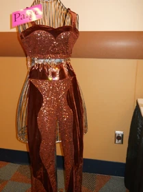 202 Paige solo costume.jpg (203 KB)