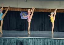 Pin-Up Girls DMA 2.jpg (45 KB)