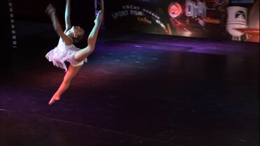 110 Taylor solo (2).jpg (53 KB)