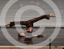 Poisonapple2.jpeg (334 KB)