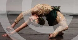 Garden of Eden competition pic 6.jpg (11 KB)