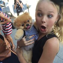 JoJo and Jiffpom 2015-05-30